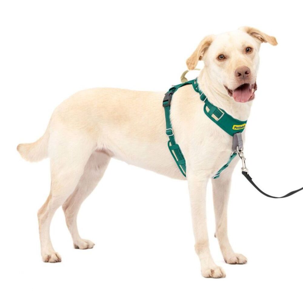 PetSafe Comfort No Pull Adjustable Dog Harness - L - Green